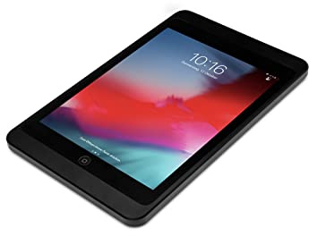 Displine Dame Wall Tablet Wandhalterung kompatibel mit iPad 10,2 Zoll, schwarz