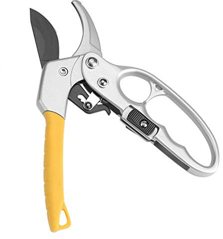 HURRISE - Cesoie a cricchetto per potatura, design a incudine, con manico rinforzato, per potatura a cricchetto, 19,8 cm, per mani deboli