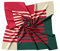 PB Pietro Baldini Halstuch Damen modernes Design Seidenähnlich Bandana in Twill - 60 x 60 cm - Rot grün Beige
