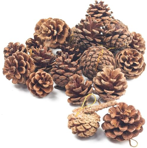JOHOUSE 18PCS Hanging Natural Pine Cones (1.5–2.5), Rustic Pinecones with Strings for Garland, Wreath Making, Vase/Bowl Filler Spring Decor