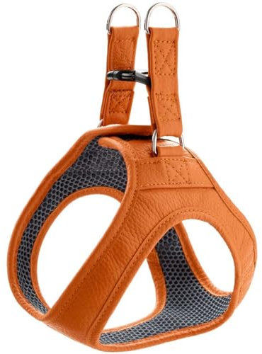 HUNTER Hundegeschirr Hilo, Farbe: orange, für kleine und kopfscheue Hunde, weiches Leder, gepolstert mit atmungsaktivem Mesh-Material, pflegeleicht und strapazierfähig, Made in Germany, Größe: XS