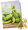 BIO Chili Samen (Sigaretta di Bergamo, 1.500 Scoville) - Chili Saatgut aus biologischem Anbau ideal für die Anzucht im Garten, Balkon oder Terrasse (10 Korn)