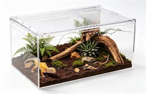Terrarium Kit, Large Reptile Feeding Box 40 * 25 * 20cm, Transparent Acrylic Insect Enclosure With Vents Anti-Escape Design, for Pet Snakes Lizard Horned Frog Beetles