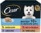 CESAR Senior 10+ in Delicate Jelly 8x150g