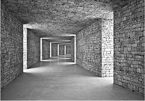 WallArena - Vlies Fototapete Tunnel Grau Moderne Korridor Ziegel 368x254 cm - Fototapeten - Tapeten - für Wohnzimmer Schlafzimmer - Vliestapete Wandtapete Tapete 3D Effekt- inkl. Kleister