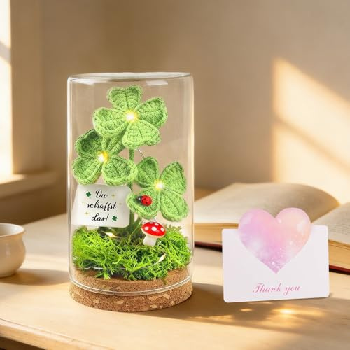 Nzkeuf Glücksbringer Viel Glück Geschenke, Glücksbringer Gestrickte Vierblättriges im Glas mit LED Lichterkette, Mutmacher Geschenk, Gute Besserung Geschenke, Du schaffst das Geschenk