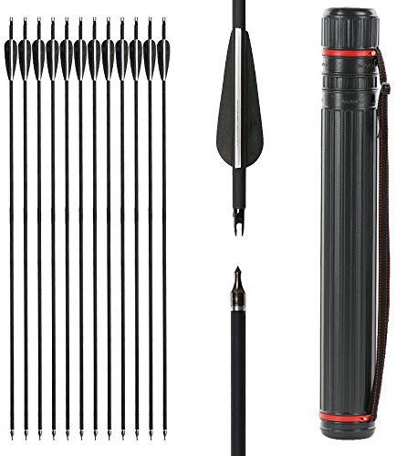 IRQ 12 Stück Pfeile für Bogenschießen, 32 Zoll Carbonpfeile Bogenpfeile für Bogen, Recurvebogen, Langbogen und traditionellen Bogen, mit Pfeil Köcher (Schwarz und weiß)