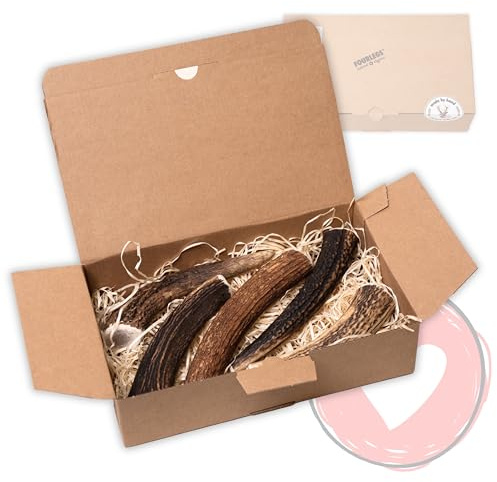 FOURLEGS® Friandises Naturelles 100% en Bois de Cerf pour Chien - avec des Minéraux, Goût Venaison, Os à Mâcher - Taille L Entier, Pack de 5 Unités