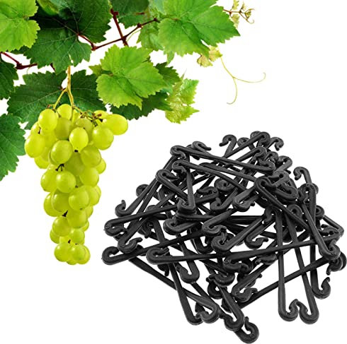 Fowybe Befestigungselemente für Weinreben,50 Stück Gartenpflanzen-Wandclips | Weinreben-Bindeklammern zum Befestigen von Weinreben, Blumen, Gemüse