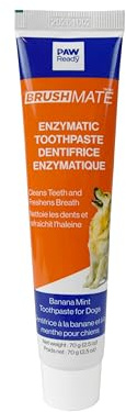 Paw Ready from Doggy Breath to Doggy Fresh Dog Dental Care Enzymatic Toothpaste for Dogs | Cleans Teeth and Freshens Breath | Safe for Puppies, Clinical Care, Banana Mint Flavor - 1 Pack 70g (2.5 oz)