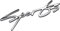 1 Packung Metall Auto Sport Aufkleber, 3D Premium Auto Side Fender Heck Trunk Aufkleber Logo Badge Decals Auto Sport Embleme Universal für alle Autos (Silber) (Silber)