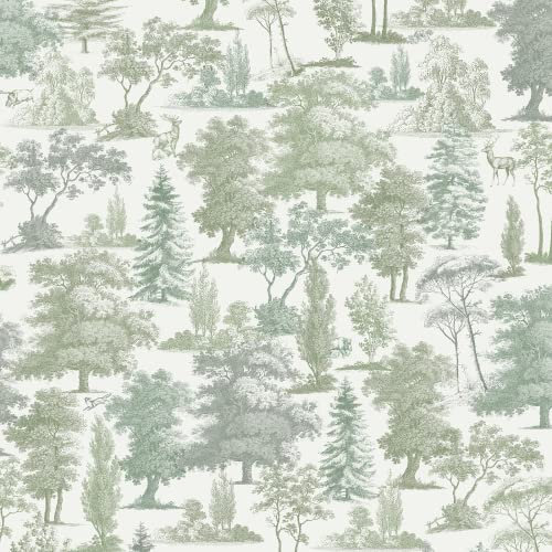 Muriva Oakley Wallpaper - Modern Wallpaper for Living Room, Bedroom, Fireplace - Decorative Luxury Wall Paper with Beautiful Trees & Woodland Creatures (Green)