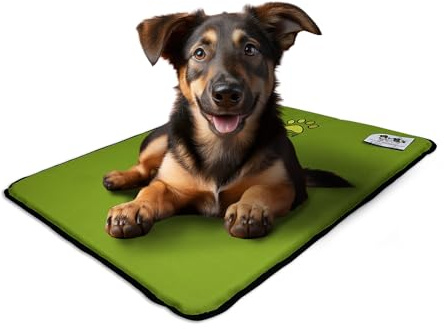 EVE Textile Hundematte | Katzenmatte | Hundekissen | Katzenkissen | Hundebett | Katzenbett | Matte für Hunde und Katzen | Beidseitig Verwendbar | Atmungsaktiv | Kühlend | 50x70x2 cm (Grün)