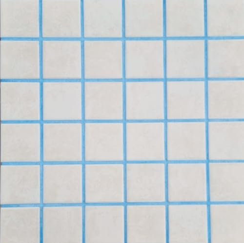 Fugenmörtel-Farben | HIMMELBLAU | 1kg | Einsetzbar für Fugen im Innen- und Außenbereich auf Wand- und Bodenflächen
