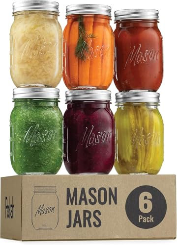GARUET 6 Pack Mason Jars 480ml Glass Jars with Lid & Seal Bands - Airtight Container for Pickling, Canning, Candles, Home Decor, Overnight Oats, Fruit Preserves, Jam or Jelly