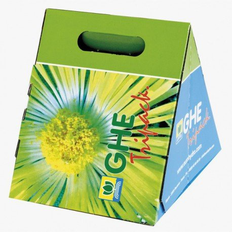 GHE Flora Duo HW Ripen Tripack