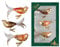 Krebs Glas Lauscha - Weihnachtsdekoration/Christbaumschmuck aus Glas - Vögel auf Clip - Farbe: herbstlich - 3 Stück - Größe: ca. 11 cm