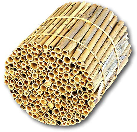 BeeCasa by Hiss Reet® Schilfrohrhalme MEDIUM | Naturbelassener Bund | Insektenhotel & Bienenhotel Füllmaterial | Niströhren & Nisthülsen für Wildbienen