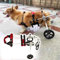 Hunderollstuhl Rollstühle für Gelähmte Und Behinderte Kleine Hunde, Leichte Mobilitätshilfe für Haustiere/ Rollstuhl für Ältere Katzen, Hinterbeinstütze für Hunde mit Geschirr Und Rädern(Red,Size XS)