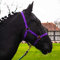 Halfter für Pferd Warmblut, Vollblut, Kaltblut – Stallhalfter, Weidehalfter, 2 Fach verstellbar an Kinnriemen und Genickstück, sicher & reißfest (Lila, Shetland Pony (Shetty))