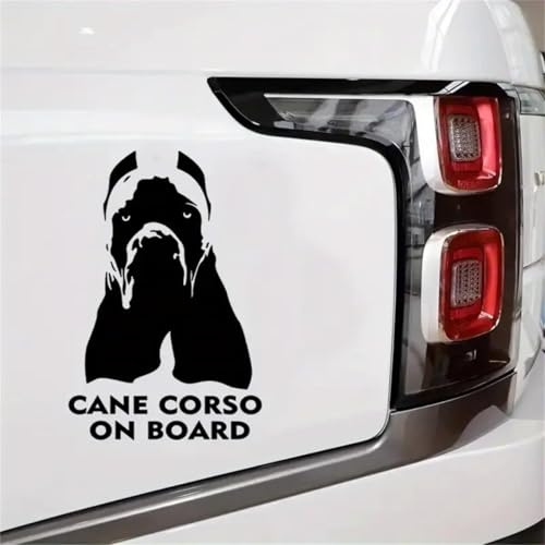 Pegatina Promotion Can Corso on Bord Aufkleber Sticker Autoaufkleber Farbe &Größe wählbar