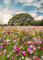 STYLER Glasbild Meadow 50 x 70 cm I Bild Sonne Natur vintage Blumen bunt Wiese lila grün Blumenwiese I Wandbild aus Glas Wohnzimmer Esszimmer Schlafzimmer I Wanddeko Home I groß XXL Poster