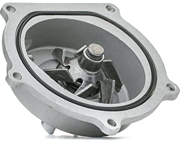RIDEX 1260W0251 Wasserpumpe mechanisch ohne Deckel für HONDA CIVIC VI Hatchback (EJ, EK)