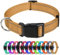 TagME Nylon Hundehalsband, Verstellbares Reflektierendes Hundehalsband mit Sicherheitsschnalle für Mittlere Hund, Braun, 2.5cm Breite