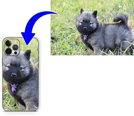 Skins4u Skin Aufkleber Schutz-Folie personalisiert selbst gestalten kompatibel mit iPhone 11, iPhone 11 Pro, iPhone 11 Pro MAX Skins individuell (iPhone 11)