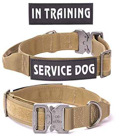 Eeyfarog Hundehalsband Verstellbar mit Kontrollgriff, Taktisch Halsband Nylon, Hunde Halsband Gepolstert, Metallschnalle, für Mittlere Große Hunde Jagd Training Outdoor(L)