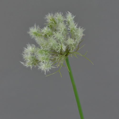 artplants.de Dekoblume Pusteblume Baoji, Creme, 70 cm - Künstliche Stielblume