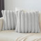 Soleebee 2er Set Plüsch Samt Kissenbezüge, Weiche Künstliche Pelz Kissenbezug Sofa Zierkissenbezüge Dekokissen Kissenhülle Set für Schlafzimmer Zuhause Couch Auto Dekor (50x50cm, Hellgrau)