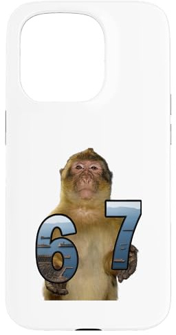 67 Thinking Monkey Meme Hülle für iPhone 15 Pro