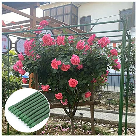 HJZALMI Gartenpfähle, Pfähle Für Pflanzen, Stabile Grüne Pflanzenstöcke Für Zimmerpflanzen Tomaten Bäume, Einfach Zu Verwenden (Farbe : Green-20mm, Größe : 40pcs)