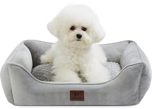 Snocyo Hundebett Kleine und Mittlgroße Hunde 65×55×18cm, Waschbare Hundekissen, Bezug abnehmbar, Hundesofa Hundekorb mit erhöhten Ränder, Flauschige Katzenbett Hundebett mit Noppen, Grau