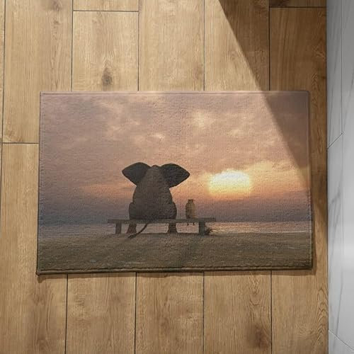 EHOMERY Schmutzfangmatte Waschbar mit Motiv Fussmatten Haustür Innen Dünn Elefant Fußmatte Außen Motiv Fussmatte Haustür Außen 40x60cm,