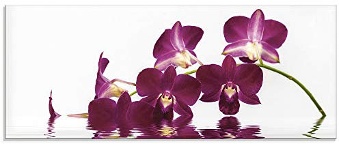 ARTLAND Küchenrückwand Glas Motiv Spritzschutz 125x50 cm Design Rückwand Zen Blumen Orchidee Blüte Natur Wasser Blume Orchideen S7NF