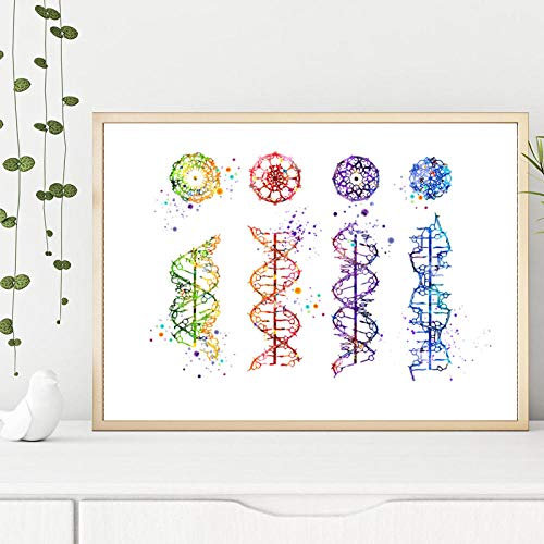 Poster,Kunstdrucke,DNA Helix Abcz Medizinische Kunstdrucke Genetischer Arzt Geschenk Biologie Wissenschaft Bildung Poster Labor Dekor Leinwand Malerei Dekor,Poster Art Deco,Wanddeko_40X60Cm