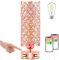 Brabola Crystal Table Lamps, Rose Gold Touch Desk Lamp Bedside Pink Lamp with 2 USB Charging Port Nightstand Night Light Room Decor for Bedroom, Kids Room, Home Office, Living Room,Bar, Restaurant
