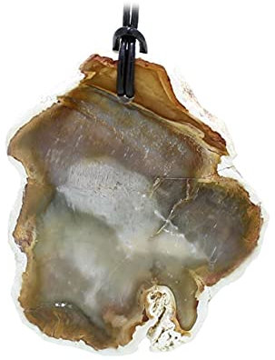 budawi® - Fossiles Holz Anhänger Scheibe mit Lederband, Kettenanhänger versteinertes Holz
