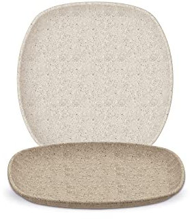 PLATO CUADRADO GRANDE TERRA | Marca Stor