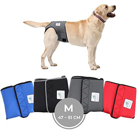 Nature Pet Läufigkeitshose für Hündinnen - Hundewindel für Rüden - Kein lästiges Einfädeln der Rute - Inkontinenz Hundehöschen (M-Grau)