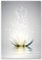 LZIMU Zen Canvas Wall Art White Lotus Flower Bloom in Water Picture Prints Wall Decor Framed Grey Painting for Yoga Spa Meditation Spiritual Room Decor (12x18in (30x45cm), Zen Artwork-3)