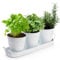 Hiceeden Set of 3 Herb Garden Planter, Indoor Herb Pots with Drainage Holes, Metal Windowsill or Countertop Herb Garden Set with Tray, White