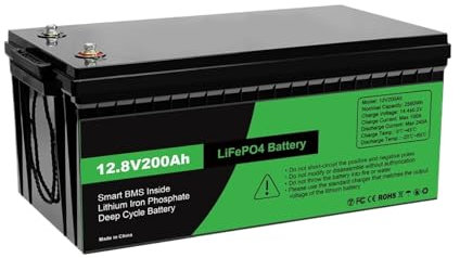 Batterie Lithium 12 V, 200 Ah, Capacité Nominale, 2560 W, LiFePO4, avec BMS, Rechargeable, Portable, Cycle Profond, Compatible avec DATOUBOSS(DT-12V200AH)