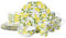 MIKASA Lemons - Set da 16 stoviglie per 4 pezzi, multicolore