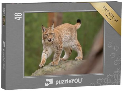 puzzleYOU: Puzzle 48 Teile „Eurasischer Luchs in Seine natürlichen Umgebung, Tschechische Republik“ – aus der Puzzle-Kollektion Luchse, Tiere in Wald & Gebirge