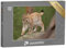 puzzleYOU: Puzzle 48 Teile „Eurasischer Luchs in Seine natürlichen Umgebung, Tschechische Republik“ – aus der Puzzle-Kollektion Luchse, Tiere in Wald & Gebirge