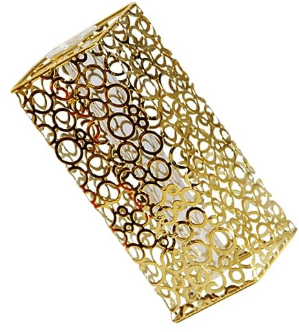 BESTonZON Glasrohr-blumenvase Eisen-hydrokultur-Topf Durchsichtiger Pflanzkübel Für Wohn Und Schlafzimmerdekoration Röhrenpflanzer Für Trocken Und Wasserpflanzen Moderne Tischdekoration