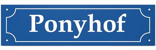 DankeDir! Ponyhof Straßenschild 40 x 10 cm Deko - Türschild Lustige Wanddeko Mädchen Geschenkidee Geburtstagsgeschenk beste Freundin kleines persönliches Geschenk lustige Überraschung